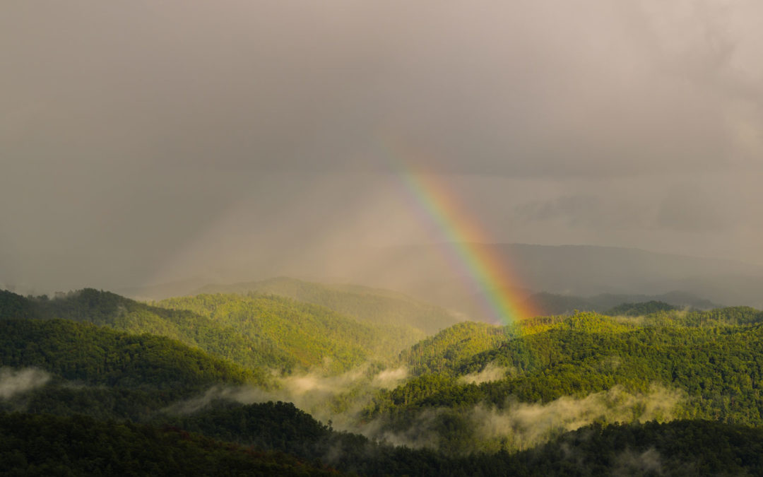 Break in the Storm