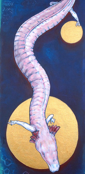Olm The Eater