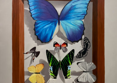 Morpho Menalus by Aubrey Walden